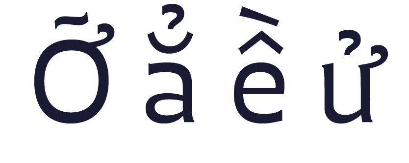 Vietnamese transliteration