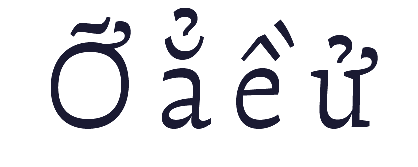 Vietnamese transliteration